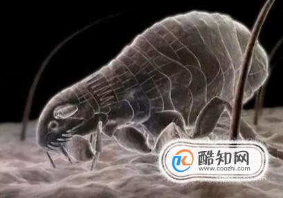 ���ʶ��ͷ���Ƿ�����������